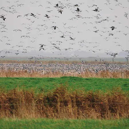 Casa vacanze Freek - 400m From The Sea By Interhome