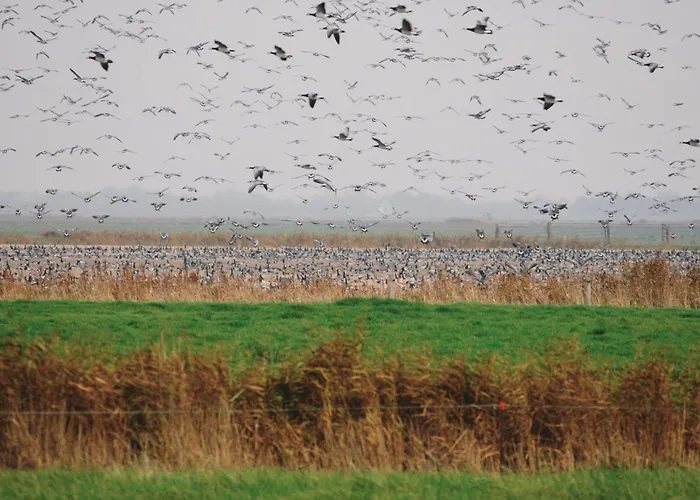 Prázdninový dům Freek - 400m From The Sea By Interhome